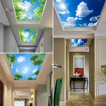 Blue Sky White Clouds Corridor Ceiling Glass Aisle Living Room Decoration Acrylic Light Transmission Board Art Ceiling Lamp Board Styling