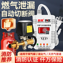 Gas valve coal gas tank leakage alarm automatically cut off valve commercial hotel liquefied gas leak alarm