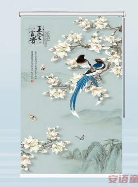 定制下拉式卷轴窗帘画卷帘拉w帘遮光客厅卧室厨房办公室书房防水