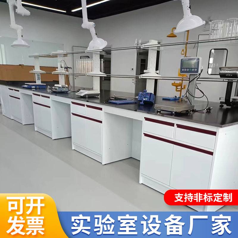 实验室实验台工作台化学实验桌中央边台试验台化验通风柜全钢台 - 图0