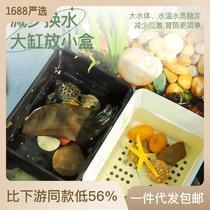 Kamemiao Divine Instrumental Turtle Cylinder Decoration Anti Drowning water Fake Water Grass Emulation water grass Turtle Fish Tank Decorated with Scenery Fish Shelter