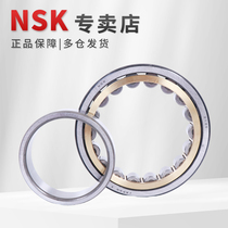 NSK bearings Japan imports NU Heavy 248 ME MC3 C4 P6 cylindrical roller single column heavy duty