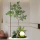Songyu simulated green plants indoor corner potted plants