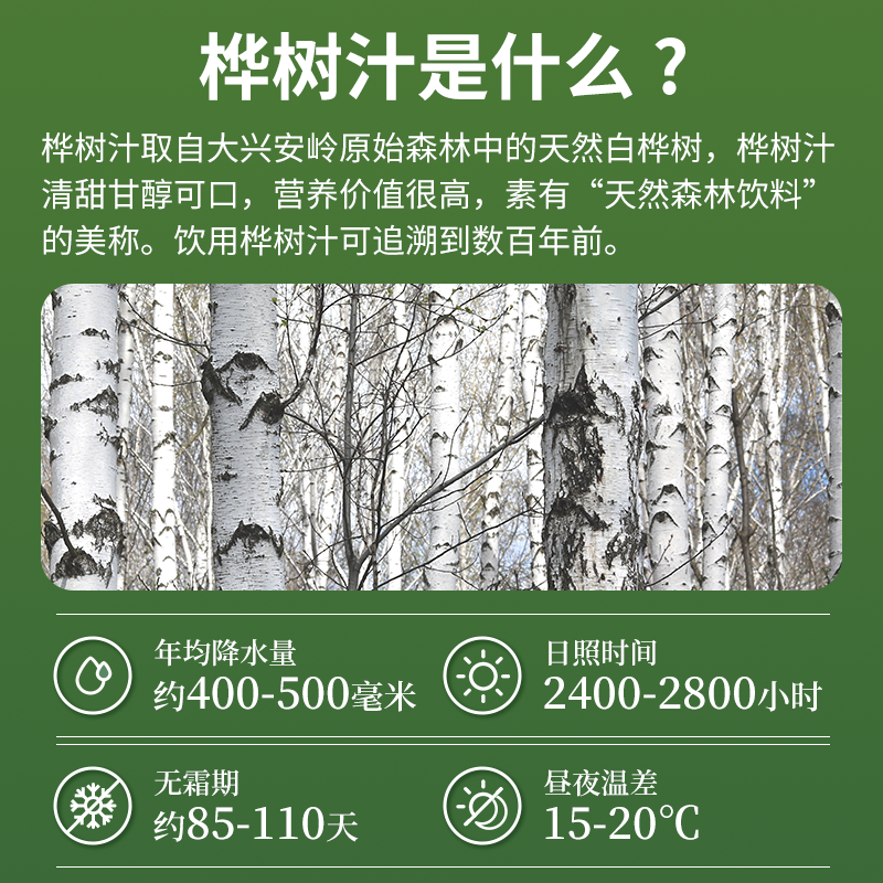 白桦树汁100%原液天然野生无添加桦树汁水原汁325ml*4瓶植物饮料