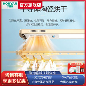鸿雁智能晾衣架家用阳台电动自动手机遥控升降照明烘干双杆晒衣架