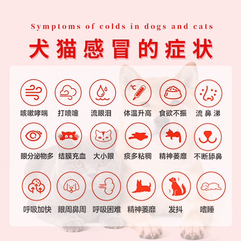 猫咪狗狗打喷嚏感冒咳嗽猫鼻支阿莫西林克拉维酸钾宠物速消炎药诺,淘宝优惠券,粉丝福利购,淘宝优惠卷