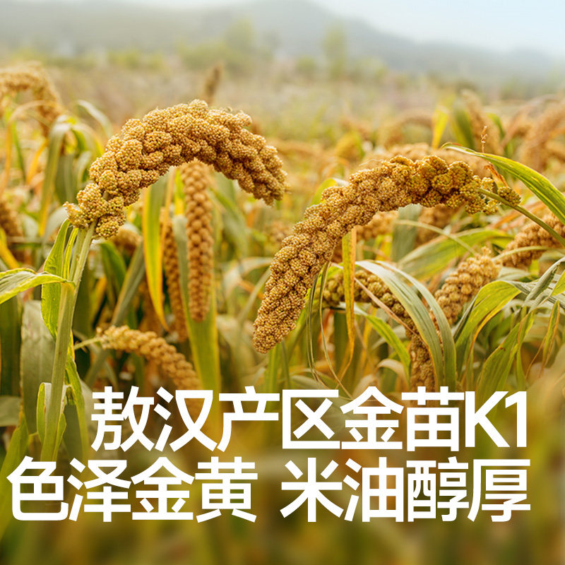 秋田满满有机黄小米新小米儿童煮粥秋天满满黄小米送宝宝婴儿辅食,淘宝优惠券,粉丝福利购,淘宝优惠卷