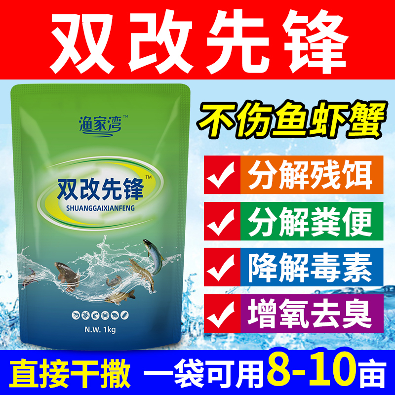 双改先锋双效改底王水产养殖鱼虾蟹塘氧化生物底改除臭净水质改良 - 图0