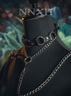 NNXH男女朋克风项圈choker颈环配饰特小狗颈圈项链女锁骨链可刻字