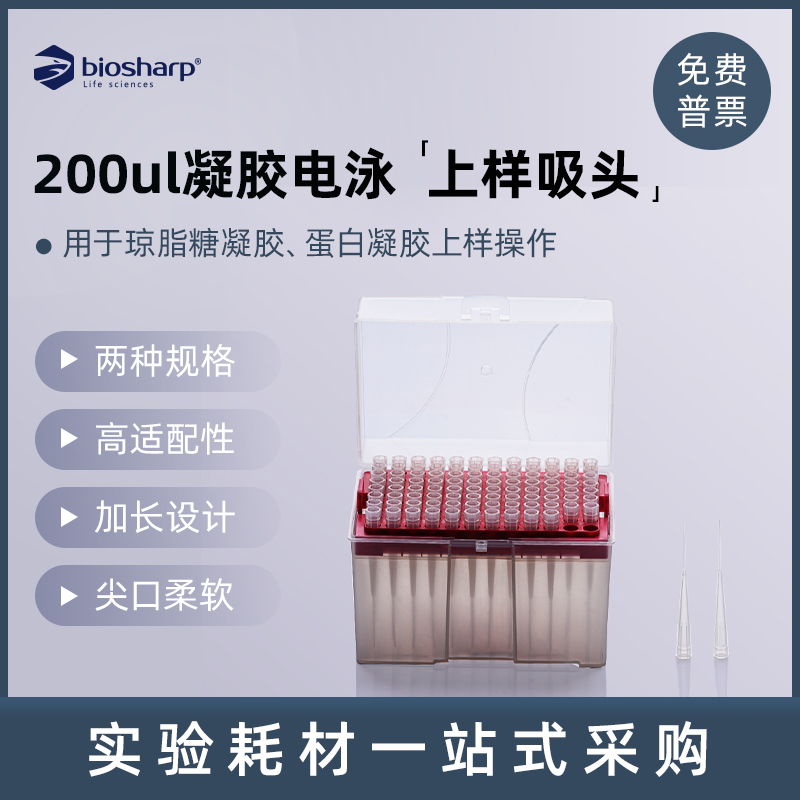 1-200ul电泳上样吸头 吸嘴移液枪枪头 凝胶电泳点样吸头 - 图0