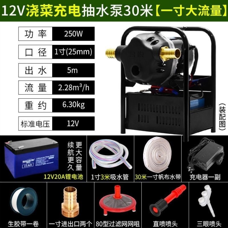 浇菜大功率户外水泵充电抽水机流量农用抽水泵家用灌溉高压12v大,淘宝优惠券,粉丝福利购,淘宝优惠卷