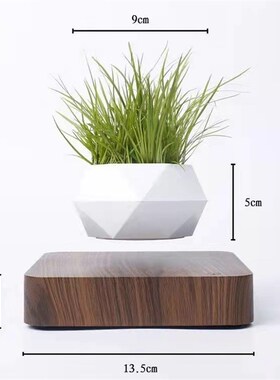 磁悬浮盆栽植物盆景客厅家居摆件网红创意工艺品乔迁新居礼物