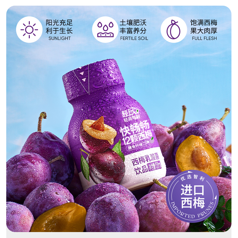 轻上西梅乳酸菌饮品0添加蔗糖0添加色素香精乳酸菌饮品