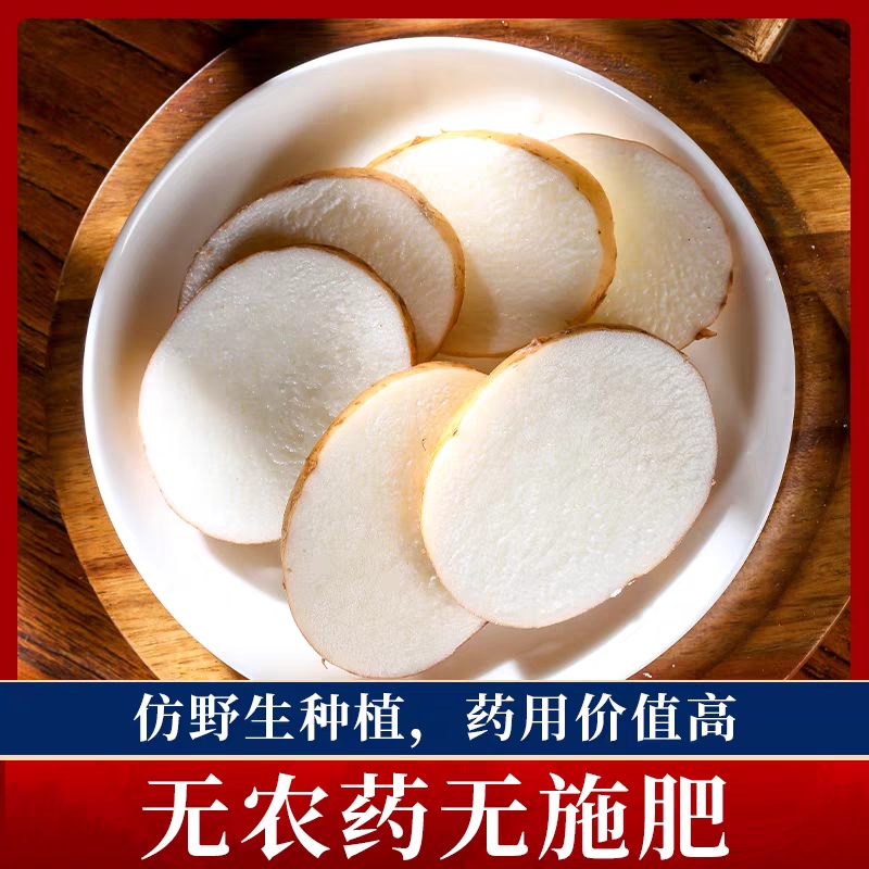 云南昭通新鲜天麻正宗小草坝仿野生特级天麻新鲜中药材正品 - 图2