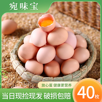 Smell Treasure cereal eggs 40 * 45g Fresh farmyard Loose Firewood Eggs Bulky Eggs Grass Eggs 1800g