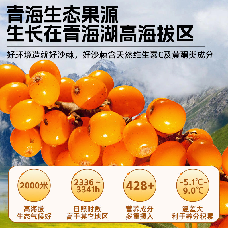 伊禧堂沙棘原浆内蒙官方正品旗舰店青海沙棘VC鲜榨NFC沙棘汁原浆
