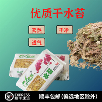 Water toss dry water Tweed climbing and flattering View Turtle-made-in-jar View Climbing vat Scape Lizard Snake Turtle Patron Spiders