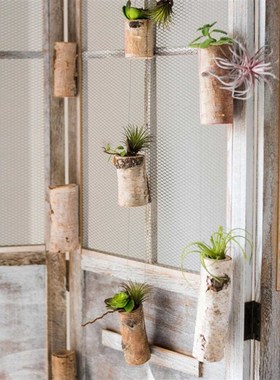 创意壁挂饰品墙面装饰挂t件原木花盆木头花器迷你小号桦木花器挂