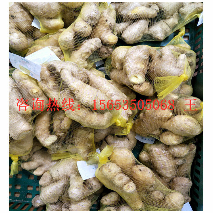 epe塑料网浴花球挤出机 鸡蛋网兜机械设备 玫瑰网套机 塑料网兜机,淘宝优惠券,粉丝福利购,淘宝优惠卷