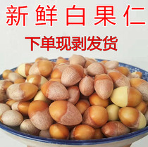 Hand-to-shell exfoliating fresh raw white fruit kernel Ginkgo Nuts 1 ---- 5 LOADED WITH A SINGLE EXFOLIATING SILVER ALMONDS