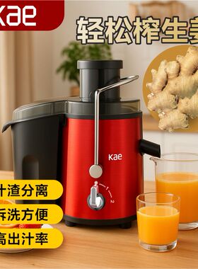 KAE不锈钢甘蔗水果榨汁机家用