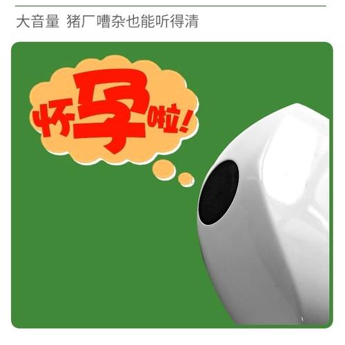 语音兽用B超机羊牛用猪比超机超声波怀孕彩超检孕a超机母猪测孕仪 - 图0