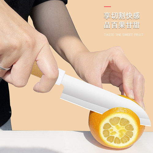 不锈钢水果刀便携锋利户外野炊随身小菜刀瓜果切片刀瓜果刀削皮刀 - 图1