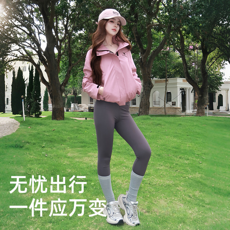 图 5