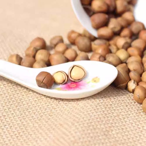 木乃壳  铁岭山榛子 大锅干炒 熟榛子 原味山榛子东北特产 - 图0