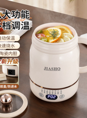 多功能全自动电炖杯办公室小型烧水杯炖煮便携式烧水壶迷你空盒子