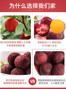 分装瓶收纳罐新果上市_闽臻冰杨梅特大果漳州京德福新鲜杨梅冰球