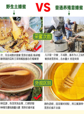 分装瓶收纳罐蜂蜜纯正蜂蜜农家自产百花蜜正宗木桶蜜成熟结晶蜜中