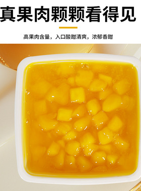 分装瓶收纳罐茶小冷芒果果肉酱750蓝莓果酱夹心面包蛋糕烘焙食品