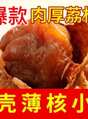 分装瓶收纳罐新正宗广西新鲜荔枝干特级糯米新特产荔枝干新核小肉