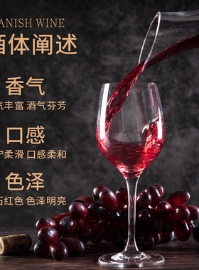 分装瓶收纳罐西班牙原酒进口红酒干红葡萄酒13度 750ml 1瓶装