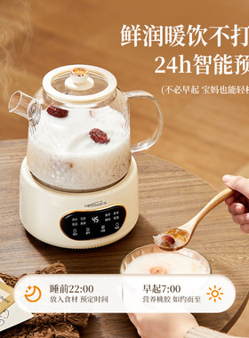 空盒子生壶全玻璃家用多功能办公室烧水壶花茶煮茶器炖煮燕窝调温