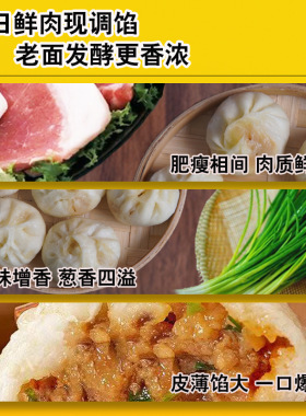 分装瓶收纳罐手工老面鲜肉包子速冻半成品小笼包加热即食上班族学