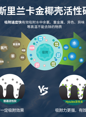 美国RAINSOFT润索中央净水机EC6别墅大流量全屋过滤器净水器