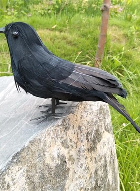 极速仿真羽毛展h翅黑乌鸦橱窗装饰园林家居摆饰摄影道具教学道具