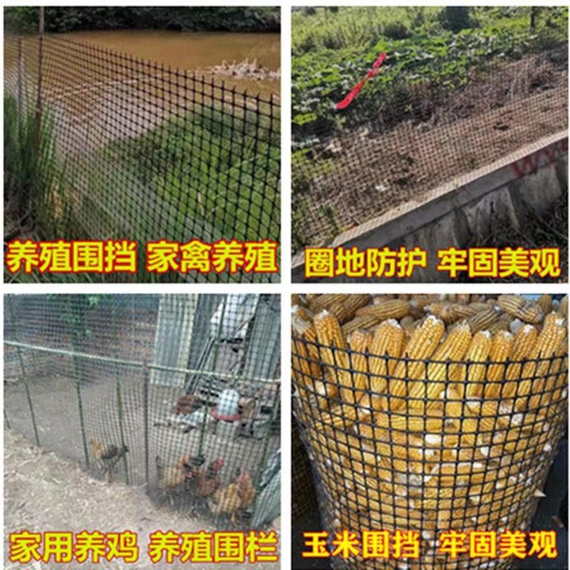 塑料网格栅栏防护网室外家用菜园鸡网养殖网漏粪网果园玉米网围栏,淘宝优惠券,粉丝福利购,淘宝优惠卷