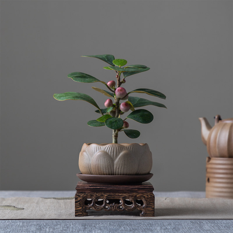 图5