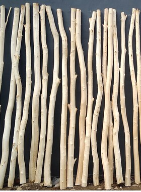 原木白桦木树干杉木去皮树干实木架子装饰隔断造型树干造景猫爬架