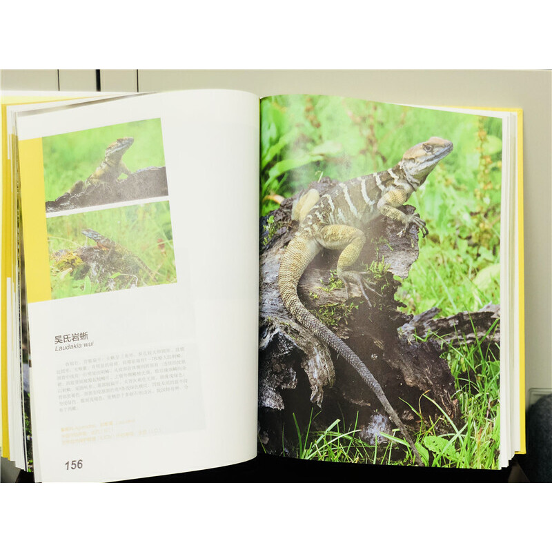 中国西南野生动物图谱 爬行动物卷云贵川藏广西自然生态野生特有珍稀爬行类动物生活习性特征科普读物生物学学术研究书北京出版社
