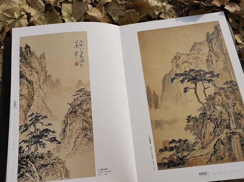 中国近现代名家画集 佟育智 仿古写意水墨山水画技法工笔花鸟人物画国画初学者绘画入门教材山水云石建筑临摹范本艺术收藏鉴赏画册
