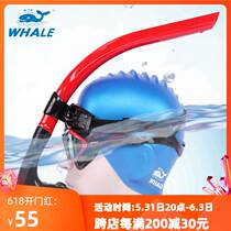 Whale Swimming Professional Hula Training Swimming Equipment Ventilation Underwater Adult Child Front Respirator God
