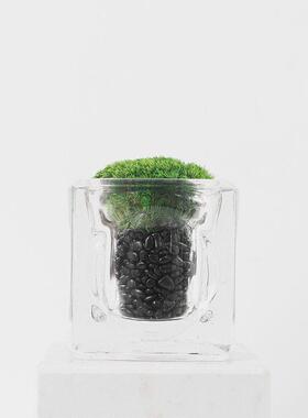 简约现代茶桌小盆景绿植摆件售楼处样间客厅酒店玻璃盆景装饰摆设