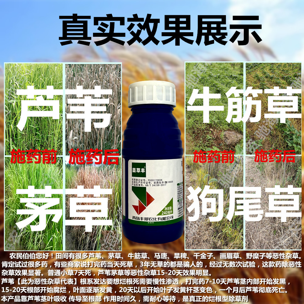 打芦苇杀芦苇专用药茅草烂根除草剂高效氟吡甲禾灵大豆烟草农药材 - 图1