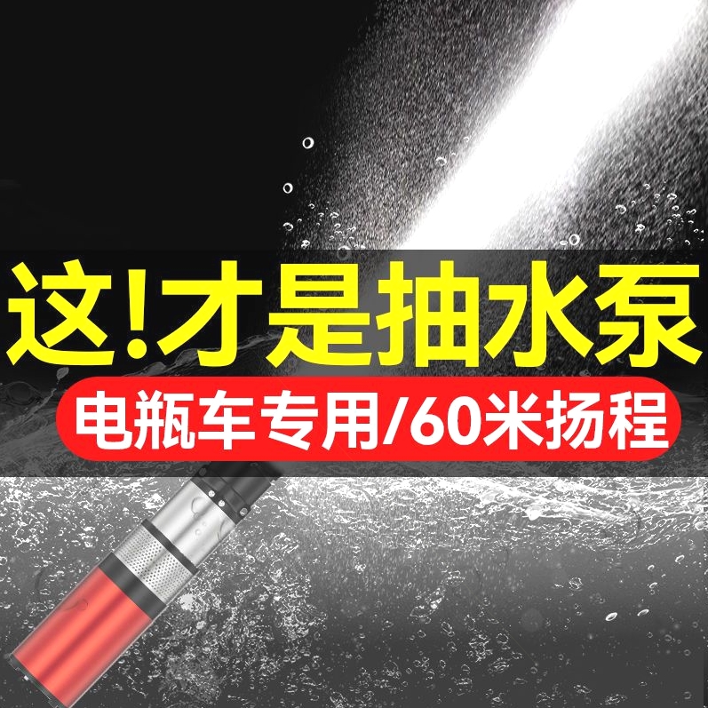 。德国进口直流深井泵1寸2寸高扬程24v48v60v72v通用电动车潜水泵