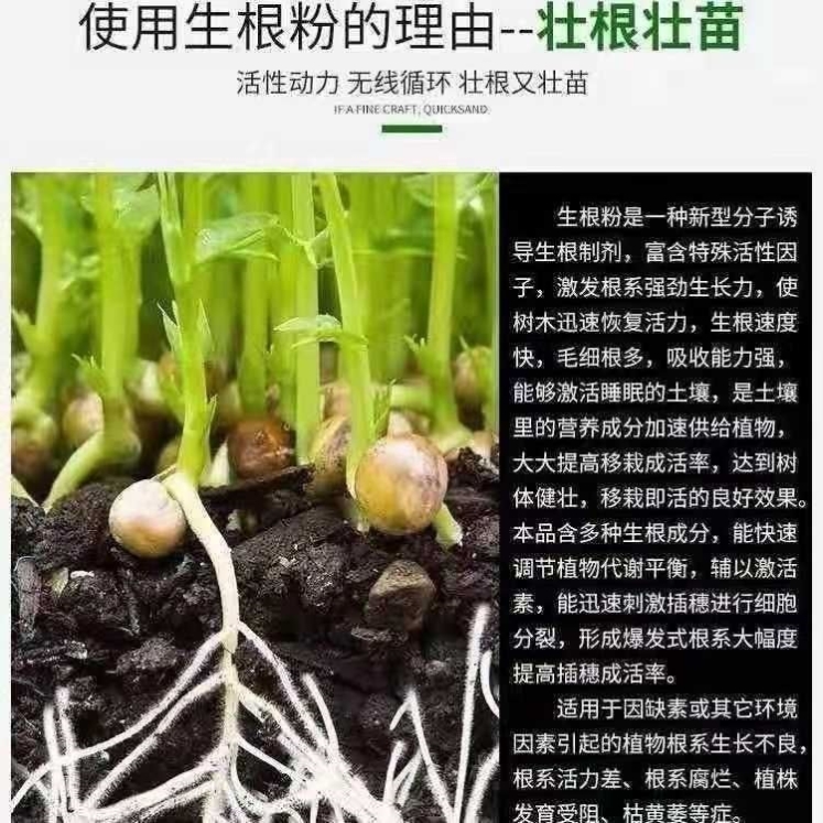 生根粉强力生根粉死苗烂根沤根植物通用果树移栽扦插生根剂营养肥 - 图1