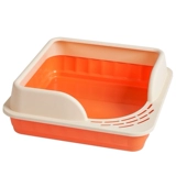 Маленький кошачий песчаный кот